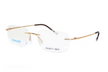 SD GLS-W2 C.04