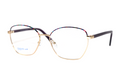 SD SN800 C.02